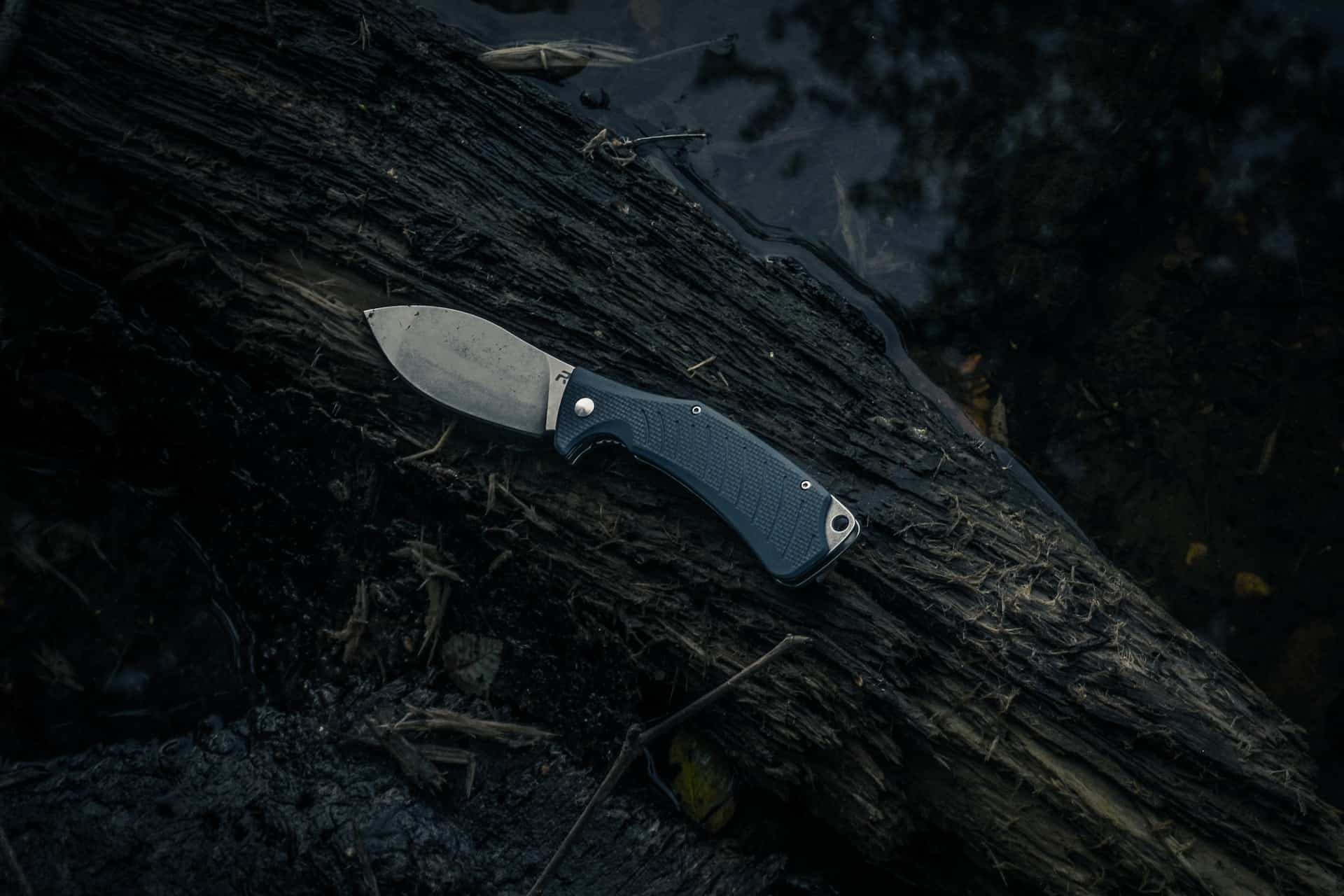 A Stainless Steel Knife is the Best Thing You Can Bring on a Camping Trip